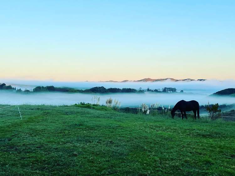 852 Oneriri Road Kaiwaka_4