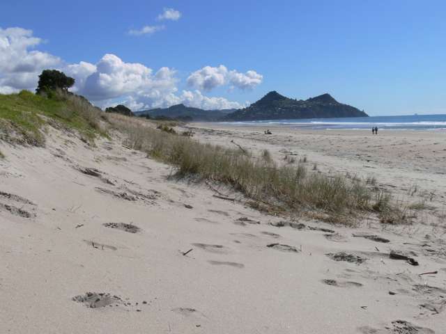 44b Pauanui Beach Road Pauanui_4