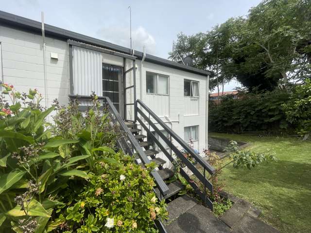 Tidy Unit in Great Mt Wellington Location