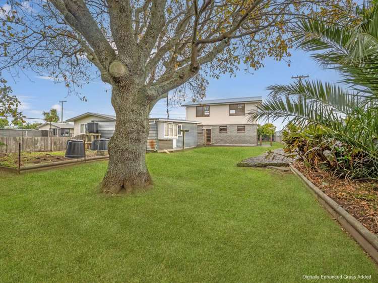 78 Totara Street Tawhero_23