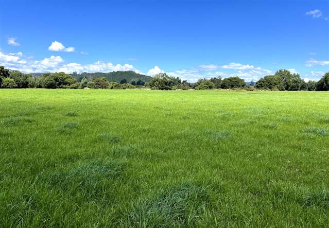 989 State Highway 69 Reefton_1