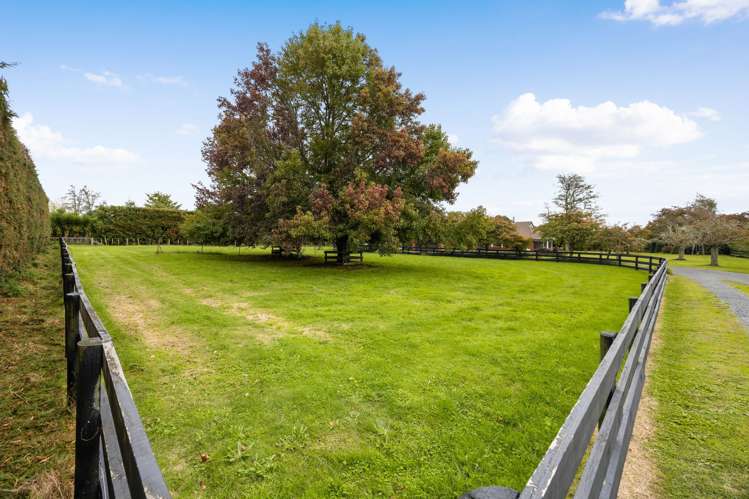 36 Roto O Rangi Road Leamington_24