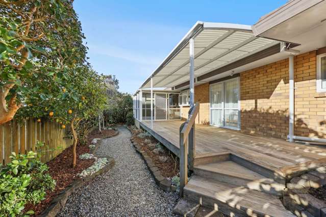 4 Davern Lane New Lynn_3