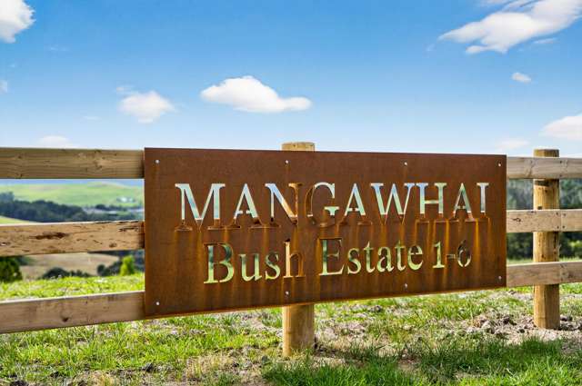 Exceptional living in Mangawhai