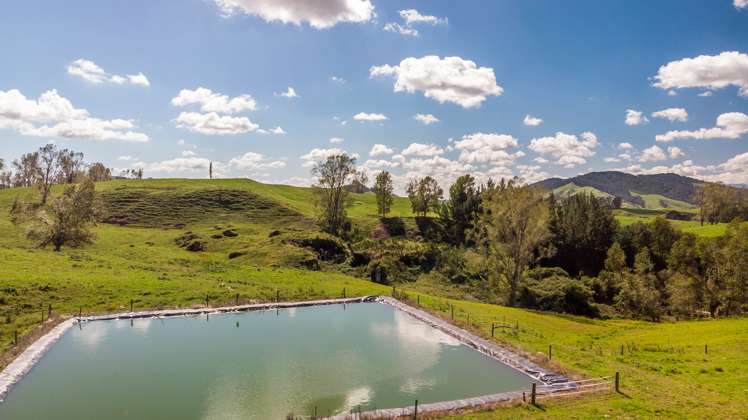 120 Pamotumotu Road Maihiihi_14