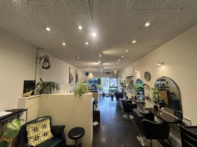 59A Cambridge Terrace Te Aro_3