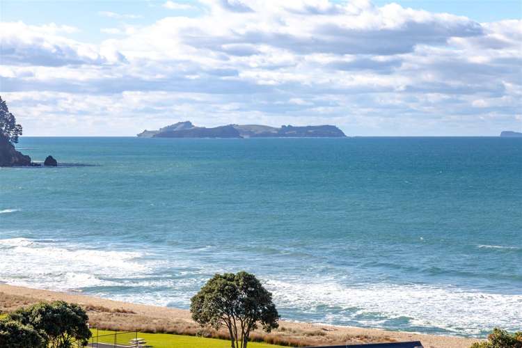 321a Onemana Drive Onemana_7