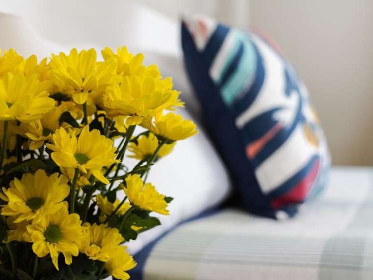 3/7 Maurice Terrace Te Aro_41