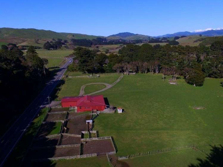 84579 State Highway 2 Eketahuna_11