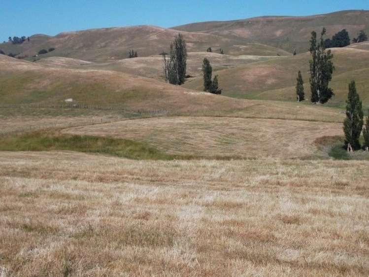 66 Jg Wilson Drive Waipukurau and Surrounds_11