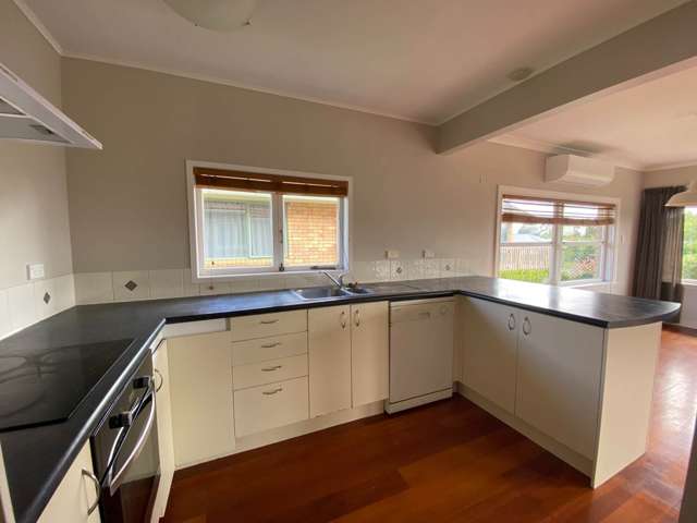 160 Kitchener Road Pukekohe_1