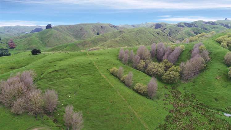 297 Kaitawa Road Pahiatua_8