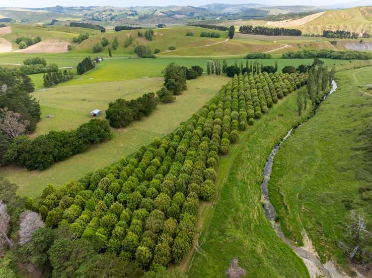 2914 Porangahau Road Wallingford_25