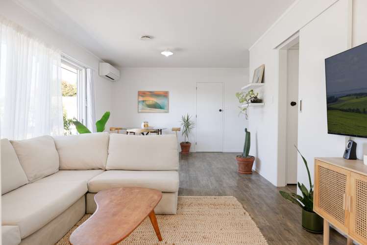 1/3 Harris Street Te Puke_6