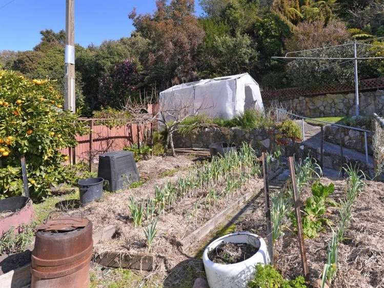 212 Rangihaeata Road Kahurangi National Park_22