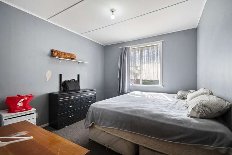 13 Flower Street Bulls_9