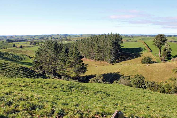 156 King Road Inglewood_19