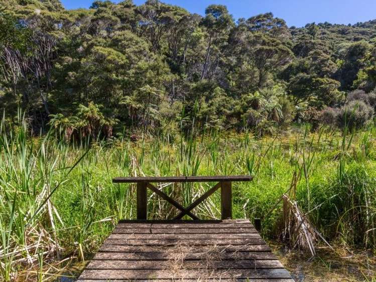 159 Paroa Bay Road Russell_19