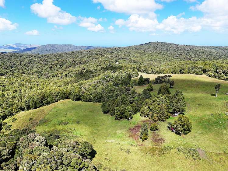 870 Marlborough Road Dargaville Surrounds_5