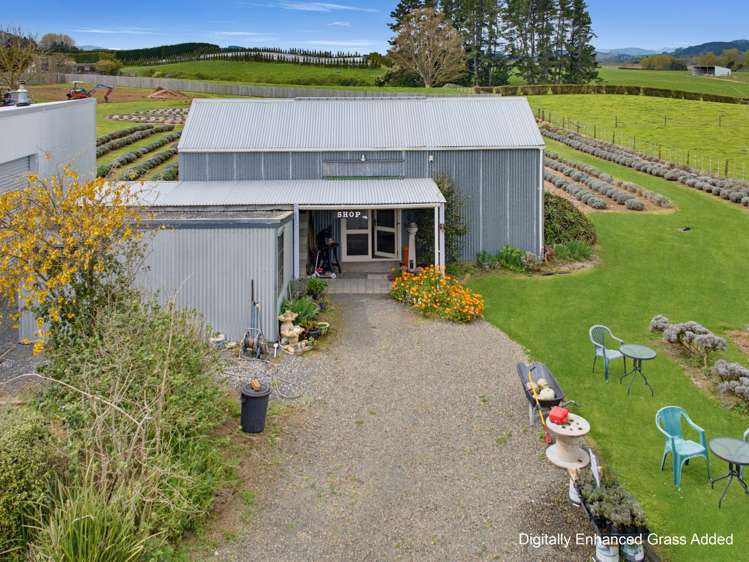 169 Brotherhood Road Kihikihi_18