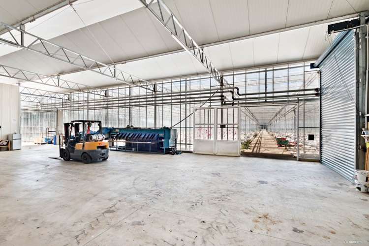 377 Mercer Ferry Road Mercer_7