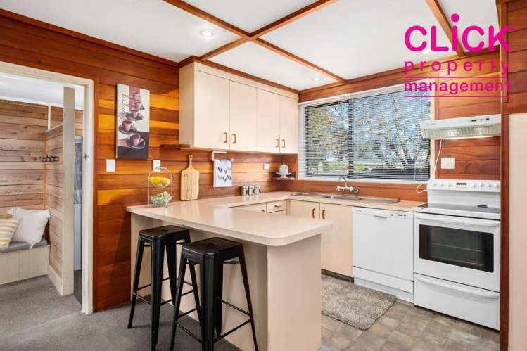 186 Scott Street Waverley_12