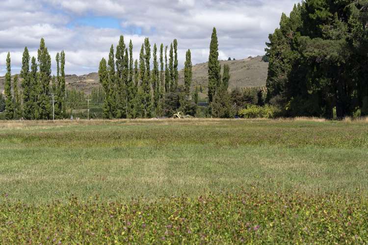 78 Blackman Road Alexandra_5