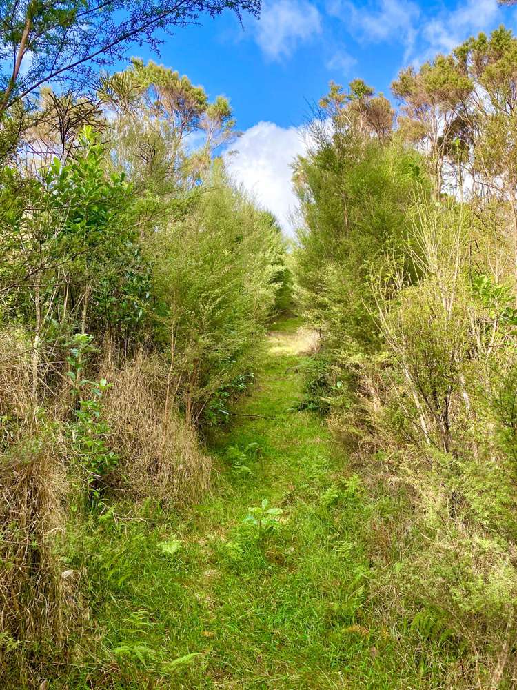 452 Moir Hill Road Warkworth_7