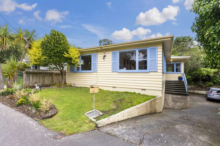 4 Arapiko Street Johnsonville_22