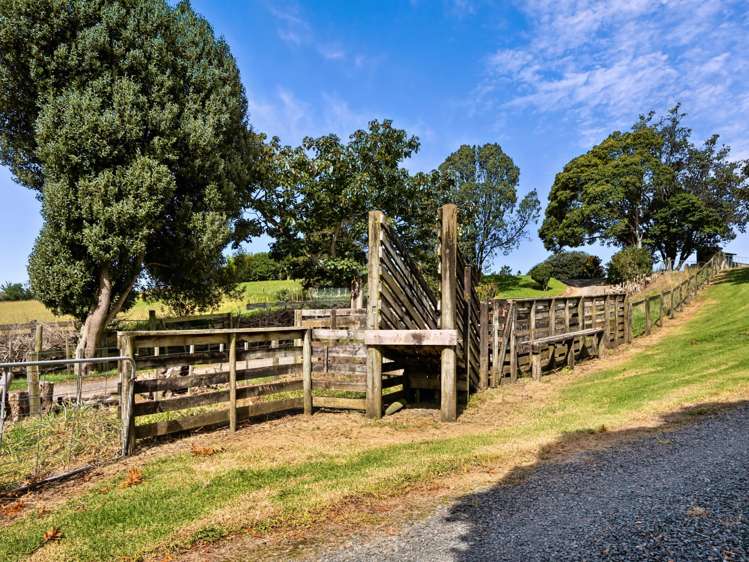 371 Esdaile Road Whakamarama_40