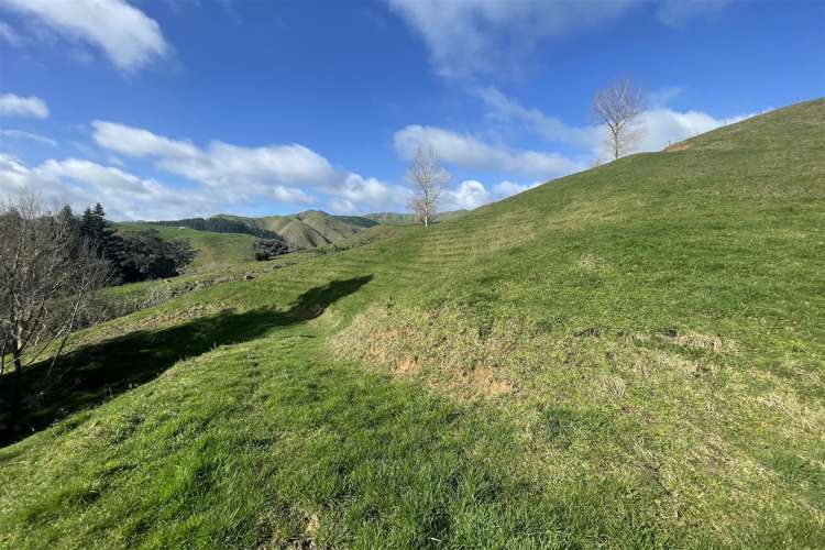 346 Tauraroa Valley Road Maihiihi_30