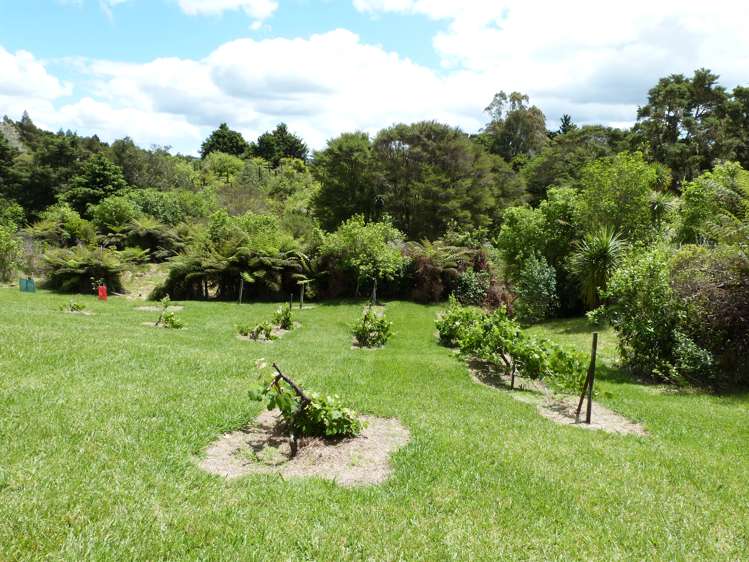 Lot 2 Okokako Road Kerikeri_22