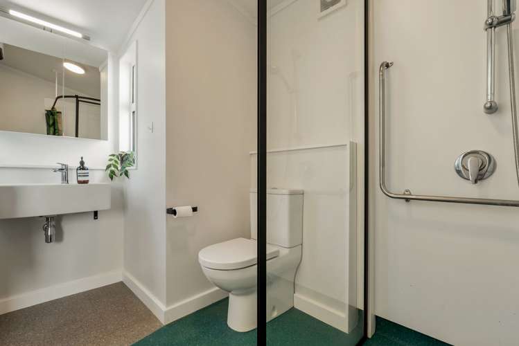 97 Elizabeth Street Mount Victoria_16