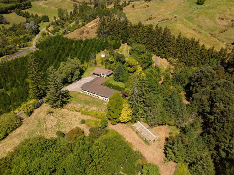 236 Willoughby Road Tahawai_15