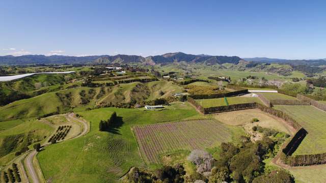 186 Parkinson Road Opotiki and Surrounds_4