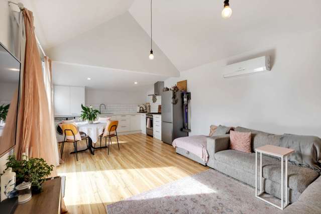 34 Montrose Street Sydenham_2