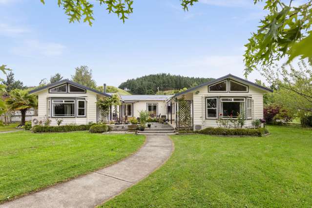 579 Swamp Road Puketapu_1