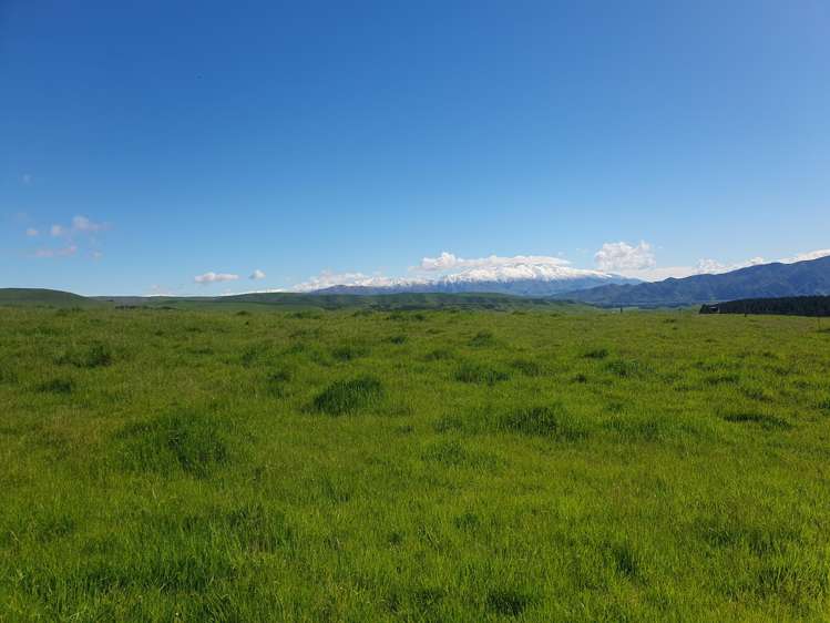 Lot 2 Cricklewood Rise Grants Road Kurow_11
