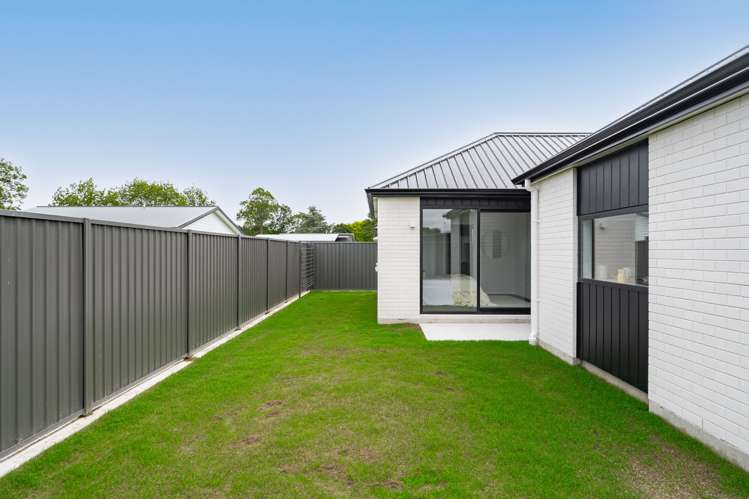 3 Nathan Lane Masterton_17