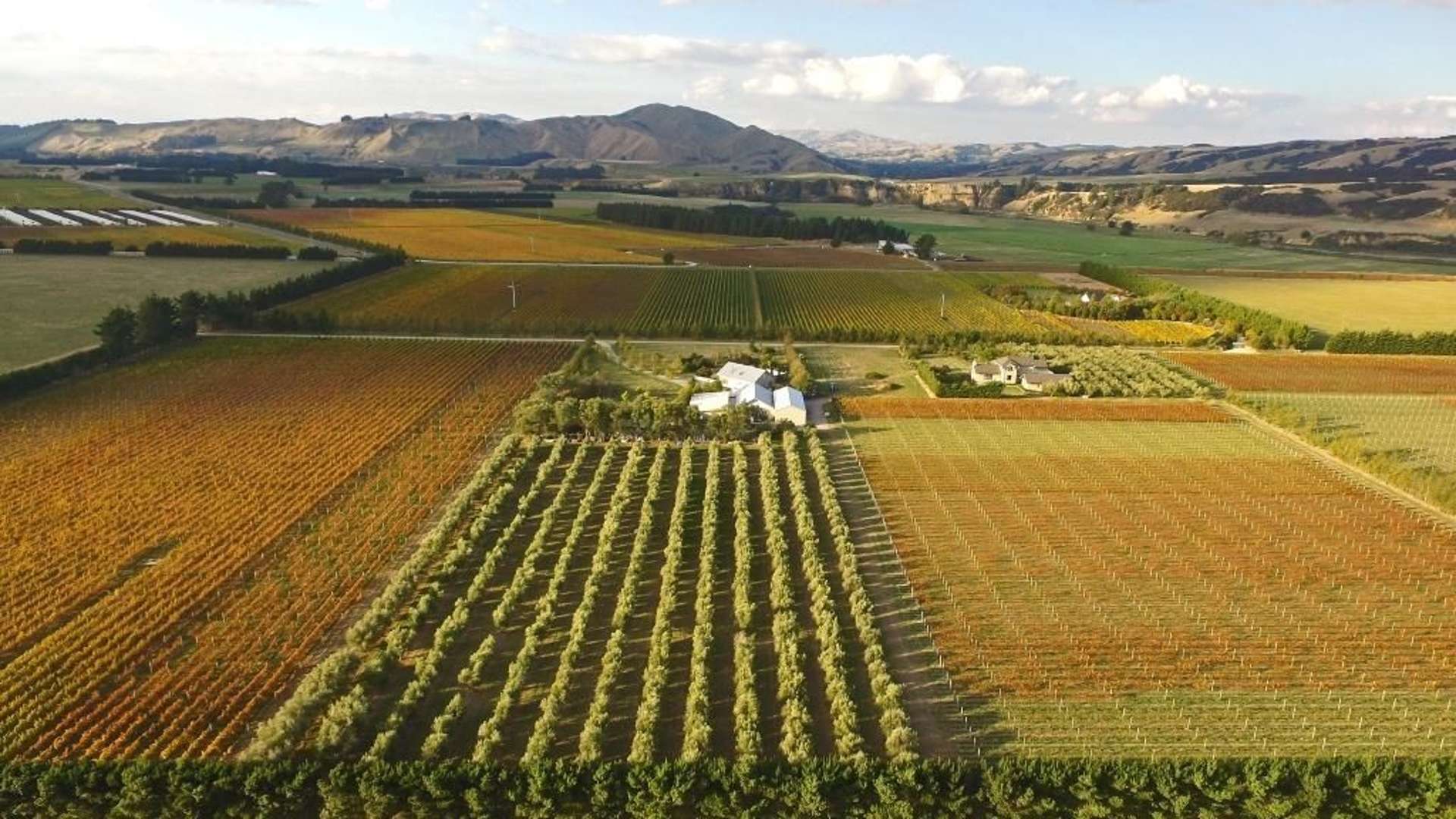 469 Te Muna Road Martinborough_0