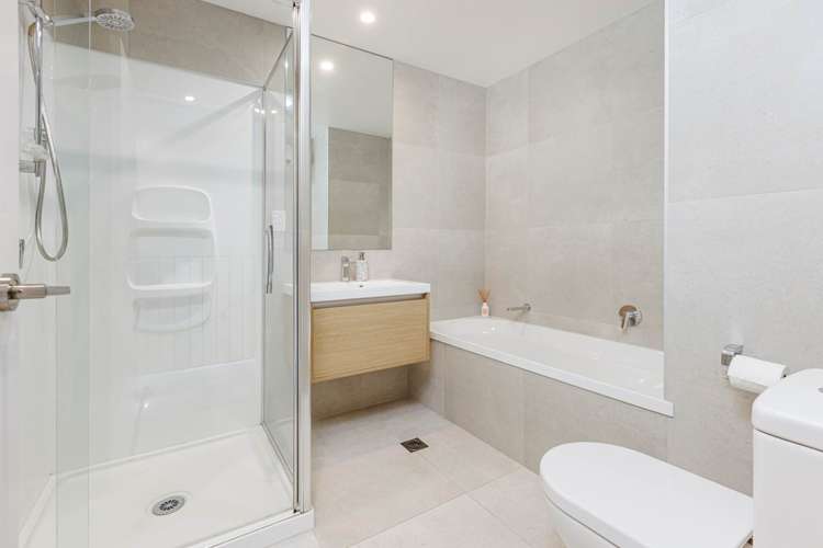 14 Magnetite Lane Flat Bush_12