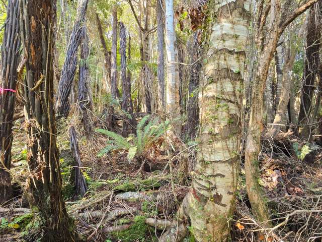 7 Rata Street Stewart Island_3