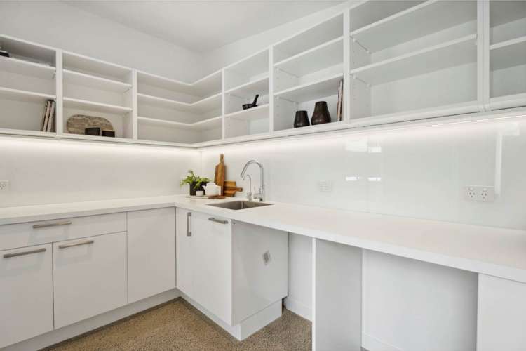 6 Elam Street Parnell_22