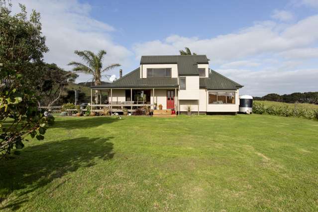 487 Wilson Road, South Head Helensville_4