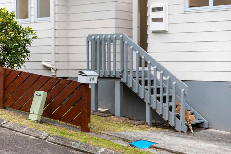 24 Halloran Place Massey_24