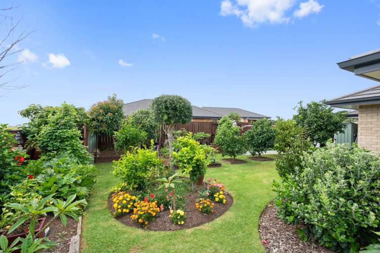 9 Wai Place One Tree Point_14