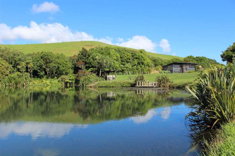 29 Washer Road Omata_16