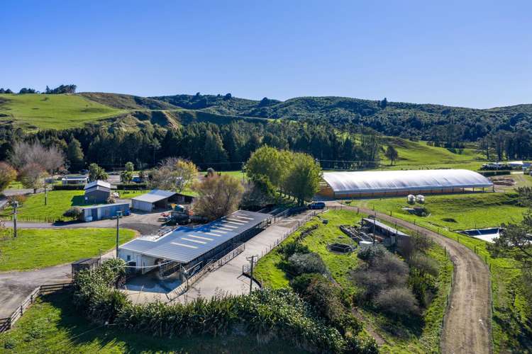 141 Te Mata Road Raglan_16