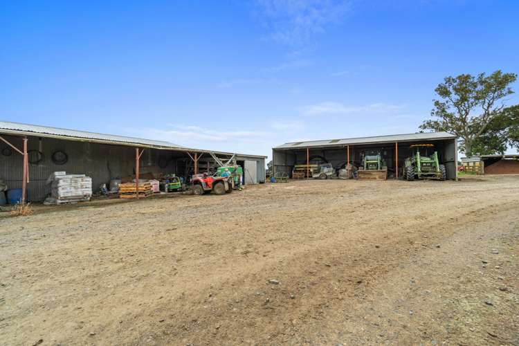 51a Waverley Road Gordonton_13