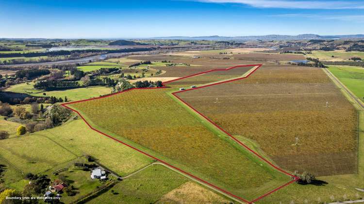 Colefield Vineyard, Aorangi Road Maraekakaho_0